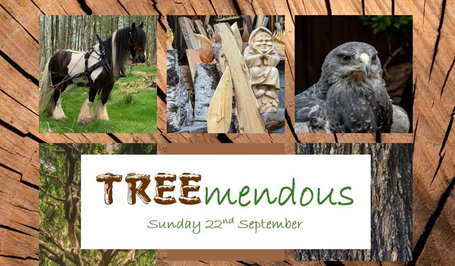 TREEmendous Festival at Cholmondeley Castle Gardens